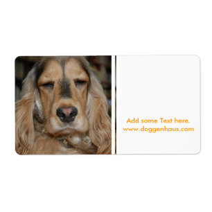 Cocker Spaniel Sushi Etiket