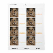 Cocker Spaniel Sushi Etiket (Full Sheet)