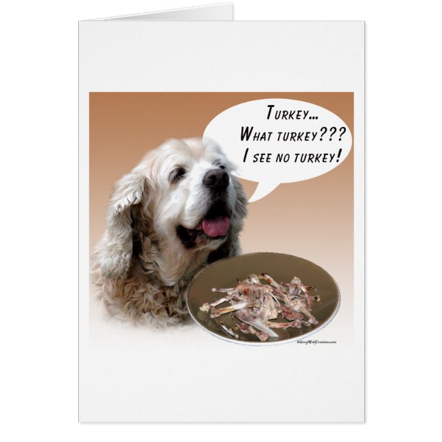 Cocker Spaniel Turquie (Devant)