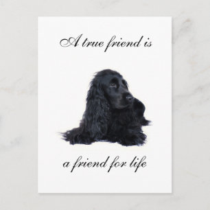 Cocker Spaniel-vriendschap Briefkaart