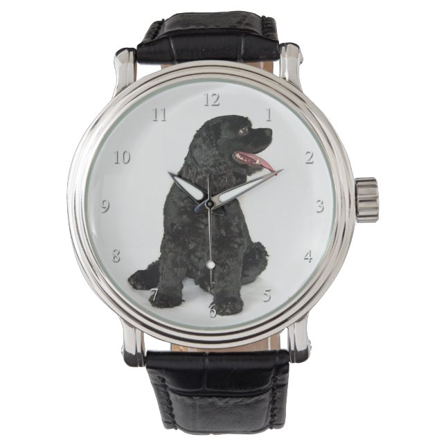 Cocker Spaniel Watch Horloge (Voorkant)