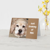 COCKER SPANIEL ZEGT "HEB DE BESTE VERJAARDAG OOT" KAART (Gele Bloem)