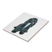 Cocker Spaniel - Zwart #2 Tegeltje (Zijkant)