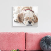 Cockerhond slaapt canvas afdruk (Insitu (Woonkamer))