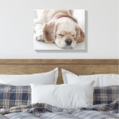 Cockerhond slaapt canvas afdruk (Insitu (Slaapkamer))