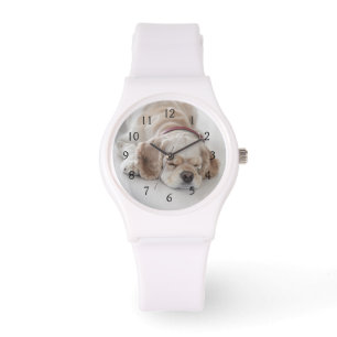 Cockerhond slaapt horloge