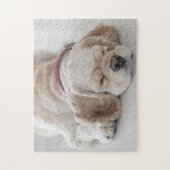 Cockerhond slaapt legpuzzel (Verticaal)