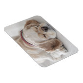 Cockerhond slaapt magneet (Rechterzijde)