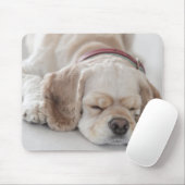 Cockerhond slaapt muismat (Met muis)