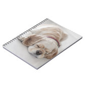 Cockerhond slaapt notitieboek (Linkerzijde)