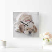 Cockerhond slaapt vierkante klok (Huis)