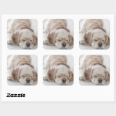 Cockerhond slaapt vierkante sticker (Vel)