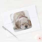 Cockerhond slaapt vierkante sticker (Envelop)