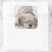 Cockerhond slaapt vierkante sticker (Tas)