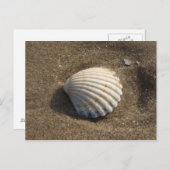 Cockle Shell Briefkaart (Voorkant / Achterkant)