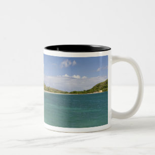 Cockleshell Bay, zuidoost schiereiland, St Kitts, Tweekleurige Koffiemok