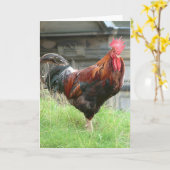 Cockrel Kaart (Gele Bloem)