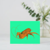Cockroach Briefkaart (Staand voorkant)