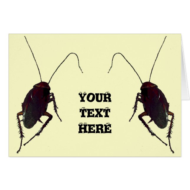 Cockroach croquant (Devant horizontal)