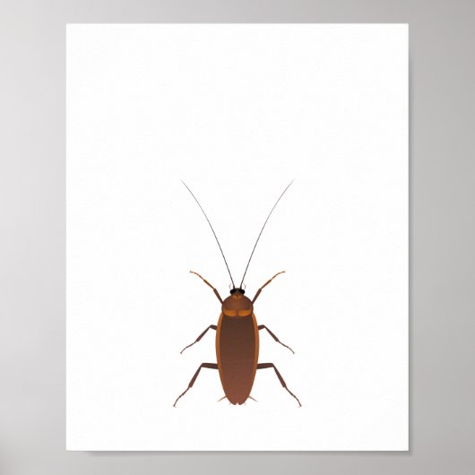 Cockroach Insect Poster (Voorkant)