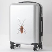 Cockroach Insect Sticker (Koffer)
