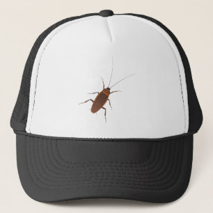Cockroach Insect Trucker Pet