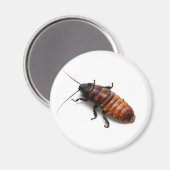 Cockroach Magneet (Voorkant / Achterkant)