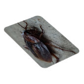 Cockroach Magneet (Rechterzijde)