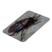 Cockroach Magneet (Linkerzijde)