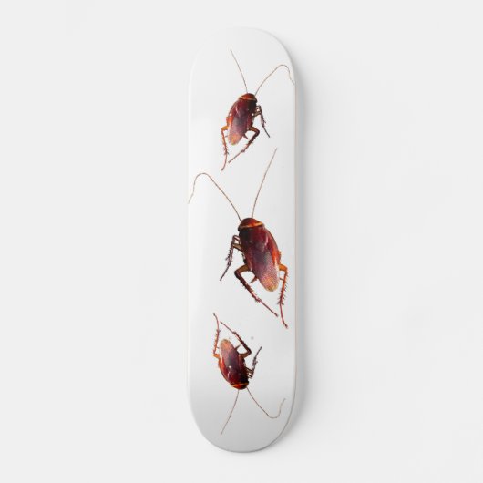 Cockroach Skateboard (Voorkant)