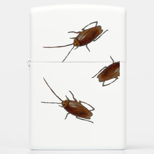 COCKROACH ZIPPO POCKET LIGHTER (Voorkant)