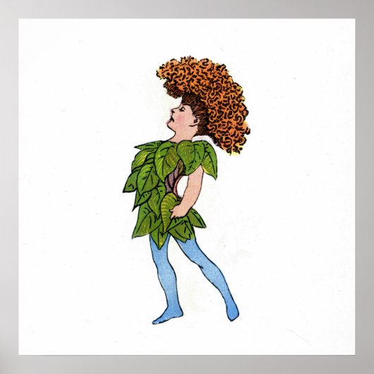 Cocks-Comb Poster (Voorkant)