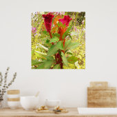 COCKSCOMB-STROOM POSTER (Keuken)