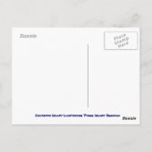 Cockspur Island LIghthouse Briefkaart (Achterkant)