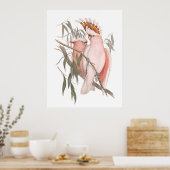 Cocktails roses de Cute Beach poster au décor vint (Cuisine)