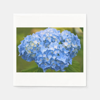 Cocktailservet Hydrangea Servet