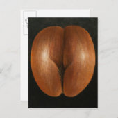 Coco de Mer 2010 Briefkaart (Voorkant / Achterkant)