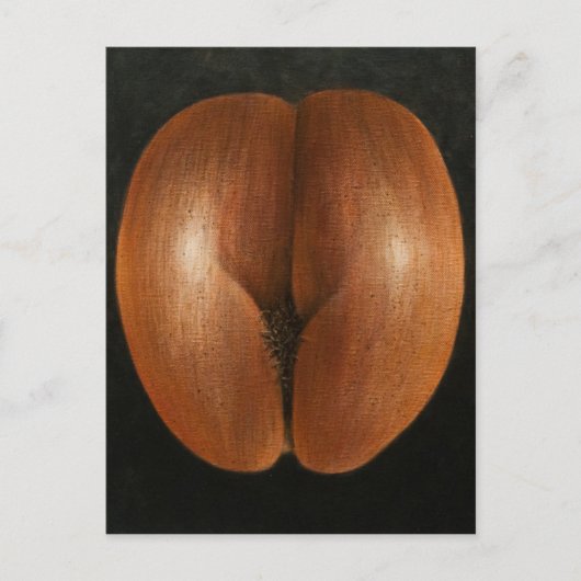 Coco de Mer 2010 Briefkaart (Voorkant)