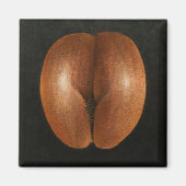 Coco de Mer 2010 Magneet (Voorkant)