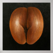 Coco de Mer 2010 Poster (Voorkant)