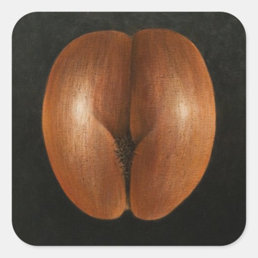 Coco de Mer 2010 Vierkante Sticker (Voorkant)