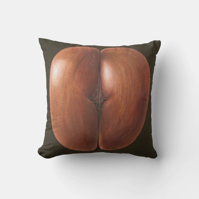 Coco de Mer Maldives 2012 Kussen (Voorkant)