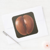 Coco de Mer Maldives 2012 Vierkante Sticker (Envelop)