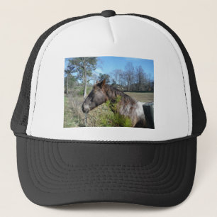 Coco en Cream Colored Horse Trucker Pet