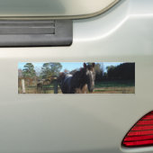 Coco- en crèmebruin paard bumpersticker (Op auto)