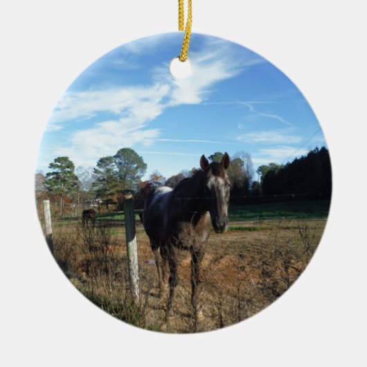 Coco- en crèmebruin paard keramisch ornament (Voorkant)