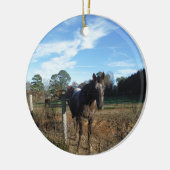 Coco- en crèmebruin paard keramisch ornament (Links)