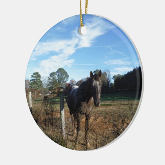 Coco- en crèmebruin paard keramisch ornament (Links)