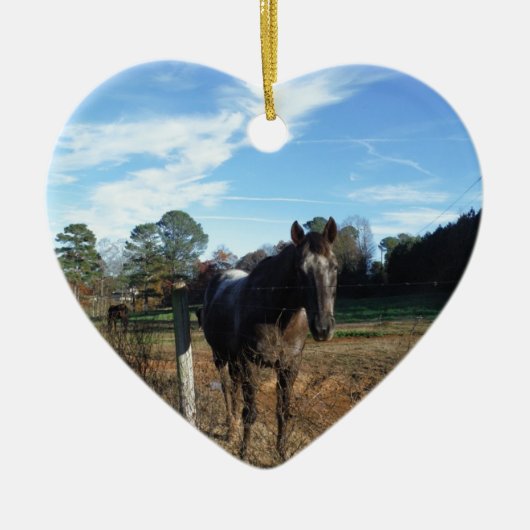 Coco- en crèmebruin paard keramisch ornament (Voorkant)