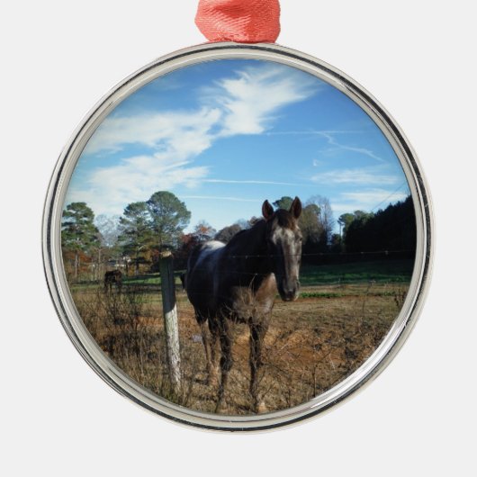 Coco- en crèmebruin paard metalen ornament (Voorkant)